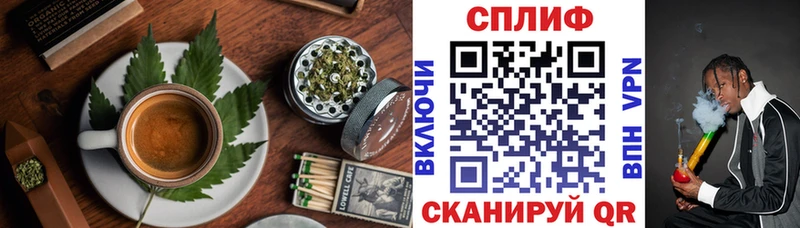 Cannafood конопля Шали