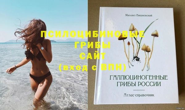 хмурый Абинск