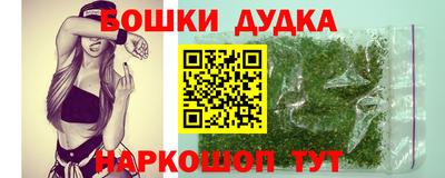 МДПВ Пенза