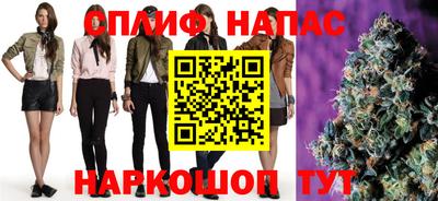 МДПВ Пенза