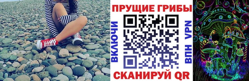 Псилоцибиновые грибы GOLDEN TEACHER  MEGA вход  Шали 